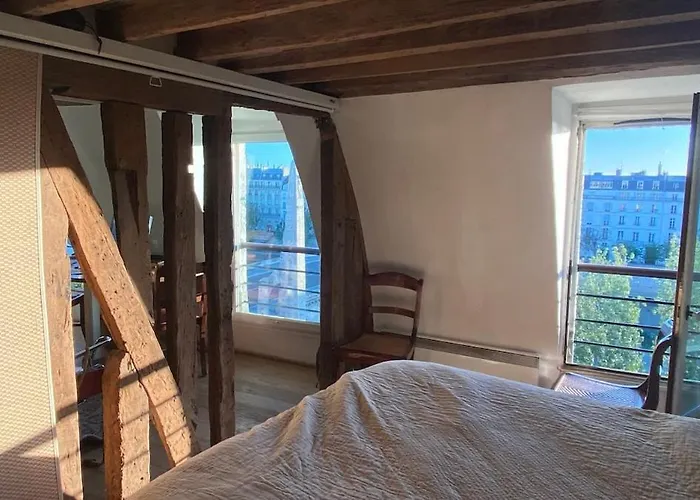 Artist's Loft - View Of Notre Dame * 巴黎