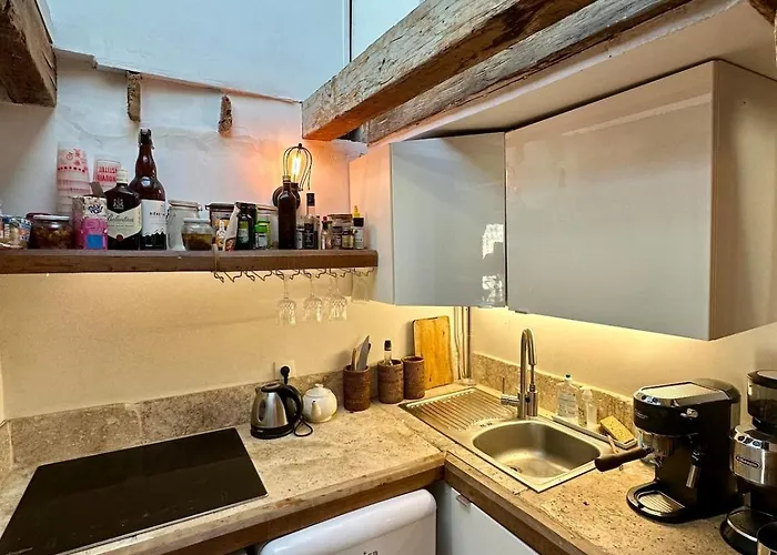 公寓 Artist's Loft - View Of Notre Dame *