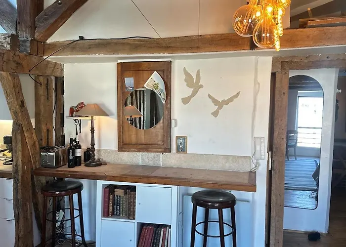 Artist's Loft - View Of Notre Dame 公寓