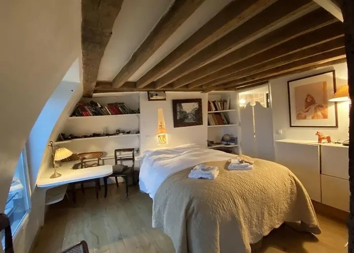 Artist's Loft - View Of Notre Dame 公寓 巴黎