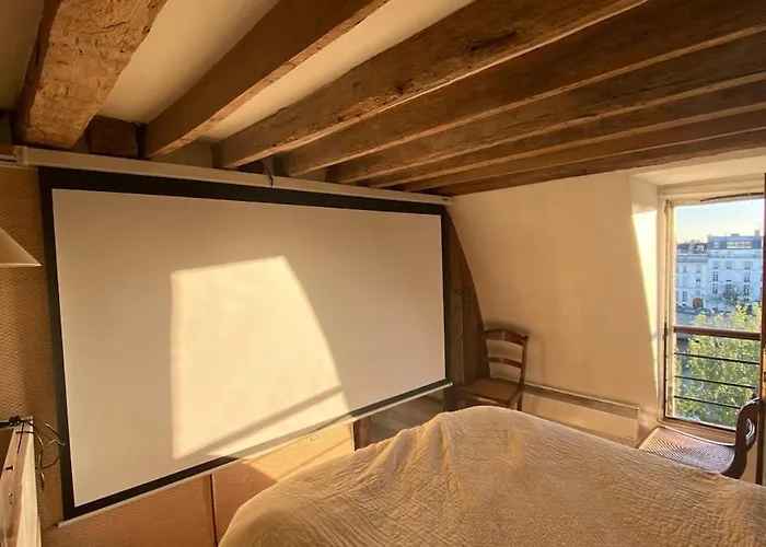 公寓 Artist's Loft - View Of Notre Dame 巴黎